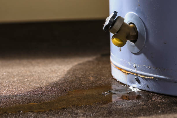 Best Flood restoration services  in Forest Acres, SC