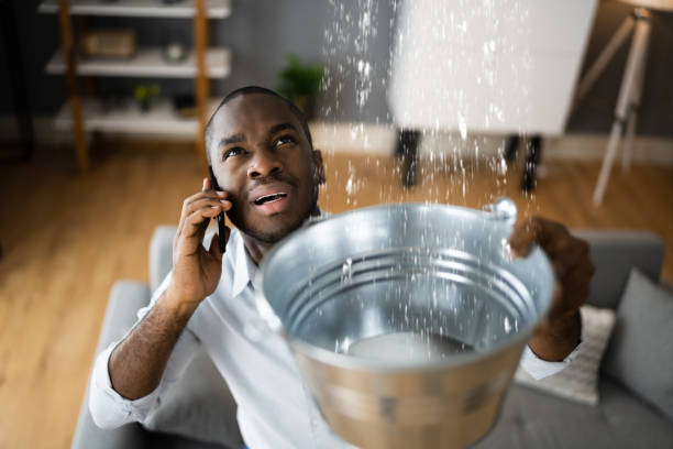 Best Carpet water damage restoration  in Forest Acres, SC