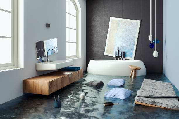 Best Water damage restoration company  in Forest Acres, SC