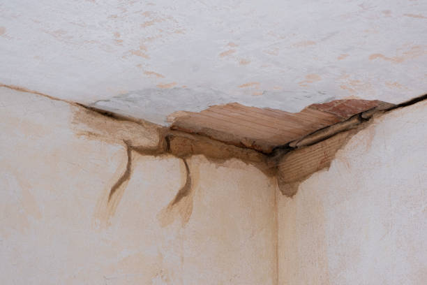 Best 24/7 water damage repair  in Forest Acres, SC
