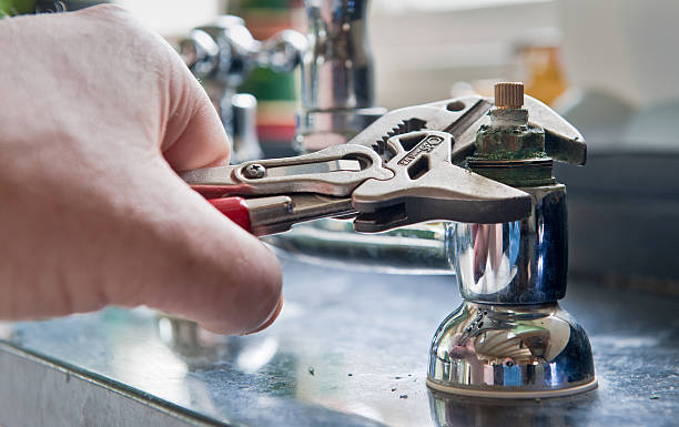 Best Flood restoration services  in Forest Acres, SC