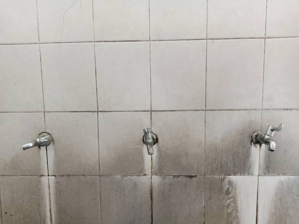 Best Professional water damage repair  in Forest Acres, SC