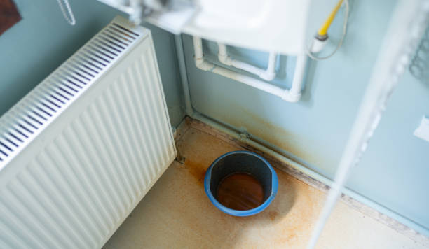 Best Local water damage restoration  in Forest Acres, SC