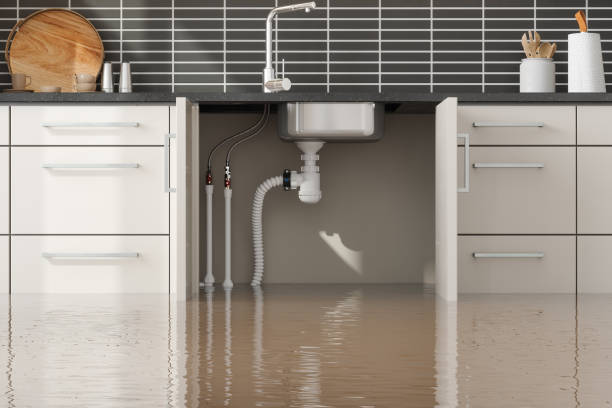 Best Emergency water damage restoration  in Forest Acres, SC