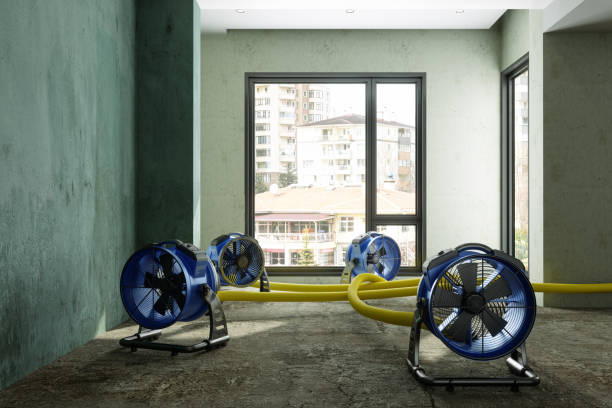 Best Ceiling water damage repair  in Forest Acres, SC