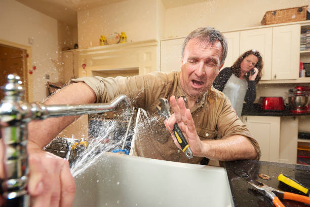 Best Water damage restoration near me  in Forest Acres, SC